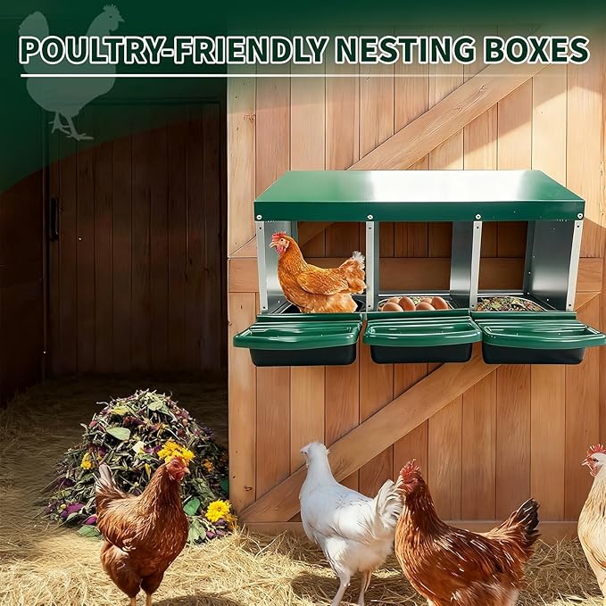 Nesting Boxes for Chickens 3 Holes Chicken Nesting Box Reversible Roll Out for Hens Heavy Duty Metal Chicken Laying Boxes with Egg Collecting on The Back and No Hang Roll Away Nesting Box Design