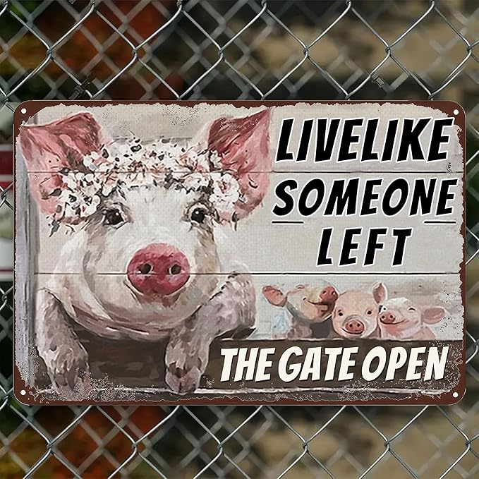 Vintage Metal Farm Signs-Funny Pigs Decor Sign Live Like Someone Left The Gate Open Tin Sign for Home Farm Fence Kitchen Bedroom Wall Decor 8x12 inches