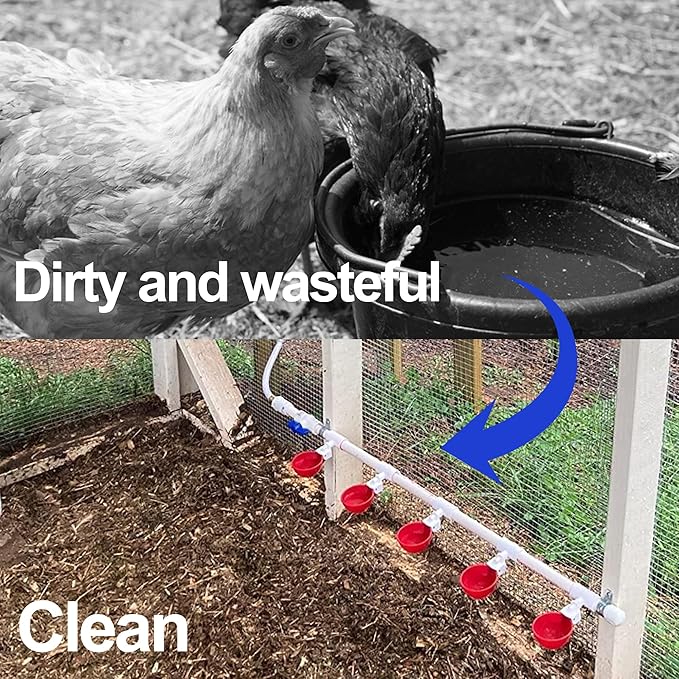 Chicken Waterer 12 Pack,Automatic Chicken Water Cup and 1/2" PVC Tee Fittings,Large Auto-Fill Chicken Waterer Cups,DIY Chicken Water Feeder, Coop Water Dispenser,Poultry Waterer Feeder Kit