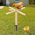 Chicken Perch Toys for Coop, Sturdy Chick Perch Stand Wooden with Metal Ground Plug Chicken Roosting Bar Backyard Playground Chicken Coop Toy Suitable for Poultry Large Chicks Bird Parrot