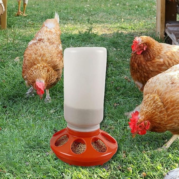 Chicken Feeder Waterer Supplies Chicken Coop Accessories Chicks Backyard Easy Use Portable Hen Pigeon Red Starter Kit, 300 g