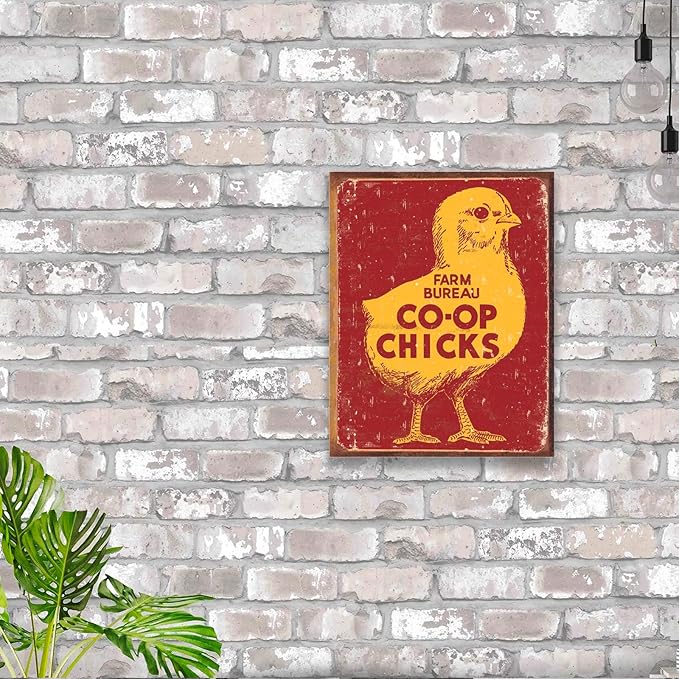Desperate Enterprises Farm Bureau Co-Op Chicks Tin Sign - Nostalgic Vintage Metal Wall Decor - Made in USA