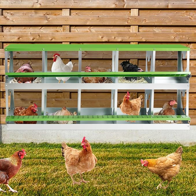 Chicken Nesting Box for Laying Eggs,Wall-Mountable Chicken Coop Nesting Boxes,10 Hole Roll Away Nesting Boxes,with Large Vented Holes,for Chickens,Ducks,Large Egg Laying Boxes (Green 10 Hole)