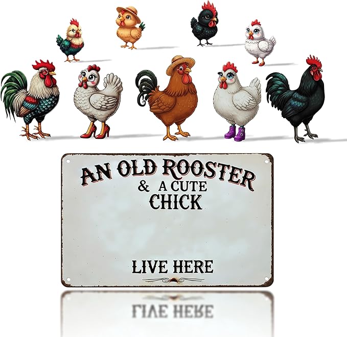 DIY Magnetic Attraction Design,Funny Chicken Tin Sign | chicken decor | Farmhouse Wall Decor, Rooster Kitchen & Bathroom Art,Metal Signs,Funny Gifts,12 * 8 Inch (Dark Grey)