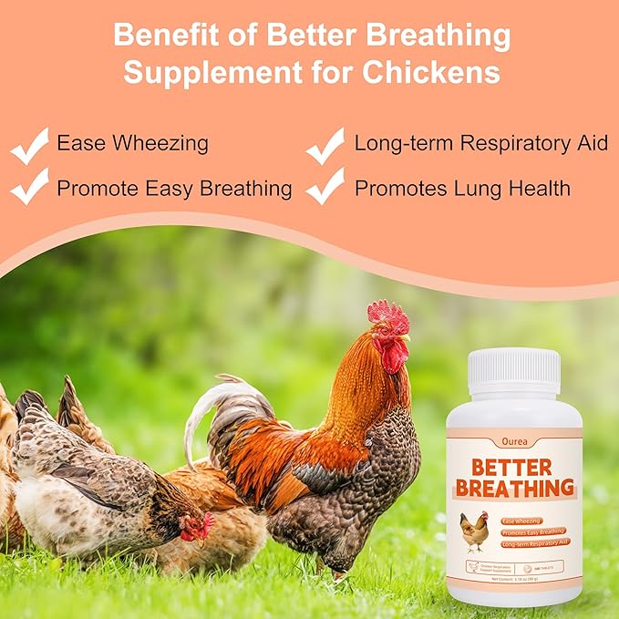 Ourea Chicken Breathing Supplement, Poultry Respiratory Aid Pills for All Breeds & Ages of Chickens - Support Wheezing, Coughing, Rapid Breathing, Lung Health - Gentle, Natural Formula - 300 Tablets