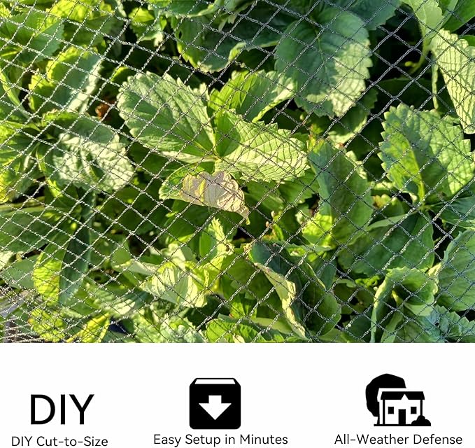 Heavy Duty Bird Netting 50x50Ft – Chicken Netting & Poultry Netting for Coops, 1" UV-Resistant Mesh | Blocks Squirrels, Hawks, Berry & Koi Pond Netting