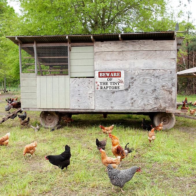 The Tiny Raptors Chicken Decor - Funny Wall Decor for Farmhouse, Garden, and Kitchen - Chicken Coop Accessories (8" x 12")