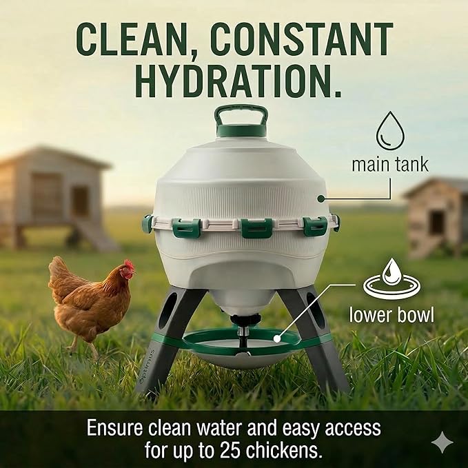 Hatching Time Automatic Poultry Drinker 6 Gallon 22.7 L – Gravity-Fed Chicken Waterer for Coop – UV-Stabilized Plastic Chicken Water Feeder – Easy-Clean, Top-Fill Water Dispenser for Chickens & Ducks