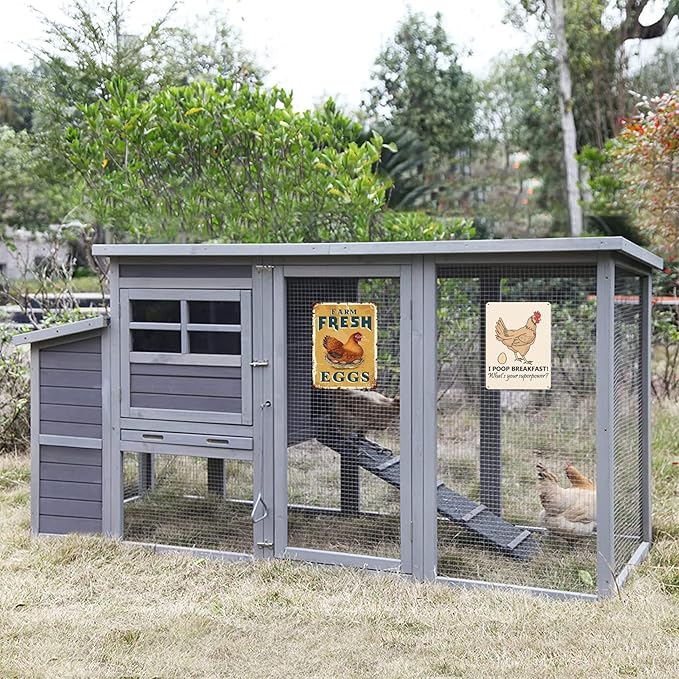 6 Piece Metal Signs Chicken Signs for Funny Coop Decor Signs for Outdoor Decor Farm Plaque Yard Chicken Coop Gift for Chicken Lovers Chickens Plaque 8x12 Inch