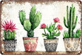 Four basins Cactus Metal tin Sign Watercolor Cactus Tin Sign Green Plant Wall Decor for Home Living Room Kitchen Garden Bedroom Office Hotel Cafe Decoration 8X12Inch