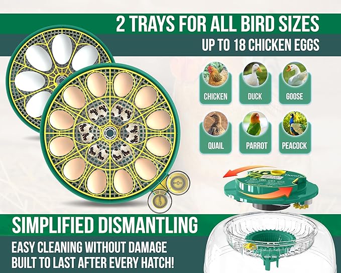 Dural's DX5® | Professional 18 Egg Incubator with Automatic Turning & Humidity Control | FCC Certified Egg Incubator | for Chicken, Quail, Duck Eggs | Precise Temperature | Easy to Clean (18 Eggs)