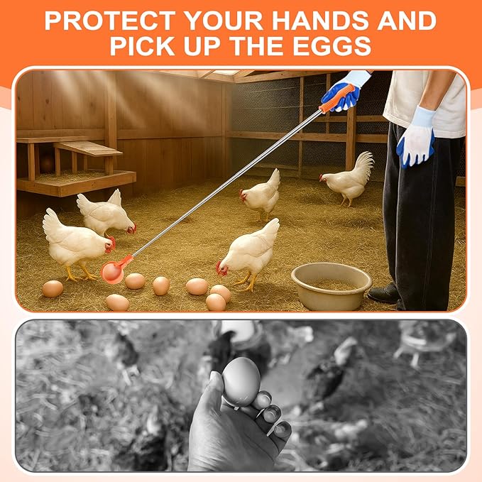 Lounsweer Egg Grabber for Chicken Eggs,15.7-76inch Extendable Stainless Steel Egg Picker Tool with (1pcs Extended Handle&1pair Non-Slip Gloves) for Picking Eggs from Coop, Poultry Nest, and Farm Use