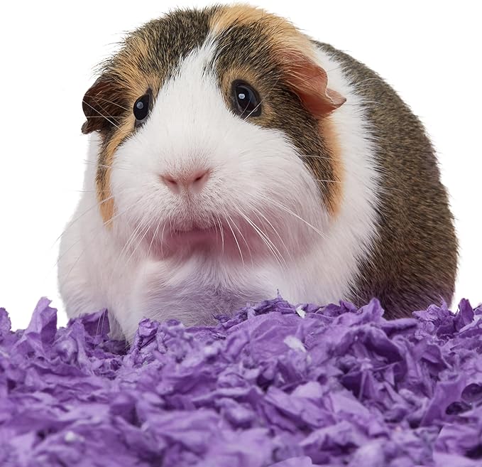 Kaytee Clean & Cozy Purple Bedding For Guinea Pigs, Rabbits, Hamsters, Gerbils and Chinchillas, 24.6 Liter
