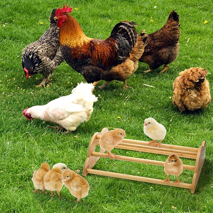 Frcctre 2 Pack Bamboo Chicken Perch, Freestanding Roosting Bar Set Baby Chick Stand Training Perch Chicken Jungle Gym with Built-in Mirrors for Brooder, Coop, Hens
