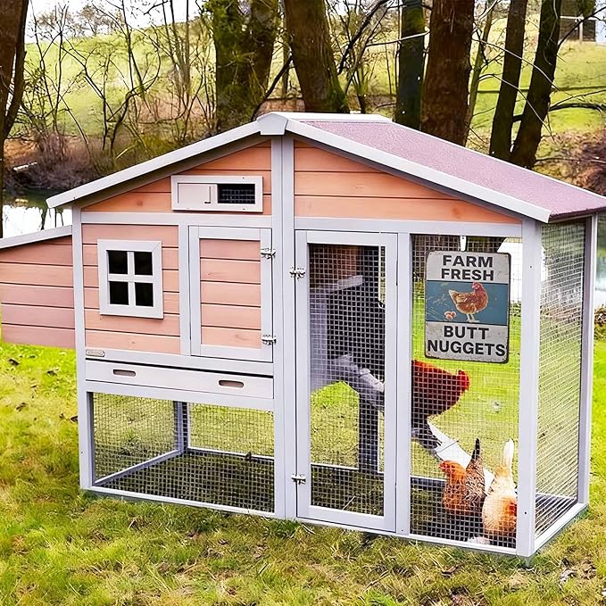 Funny Chicken Gifts Chicken, Tin Sign for Home Farm Chicken Coop Farmhouse Kitchen Garden Decor, Vintage Metal Signs Chicken Coop Signs(blue) 8 X 12 Inch