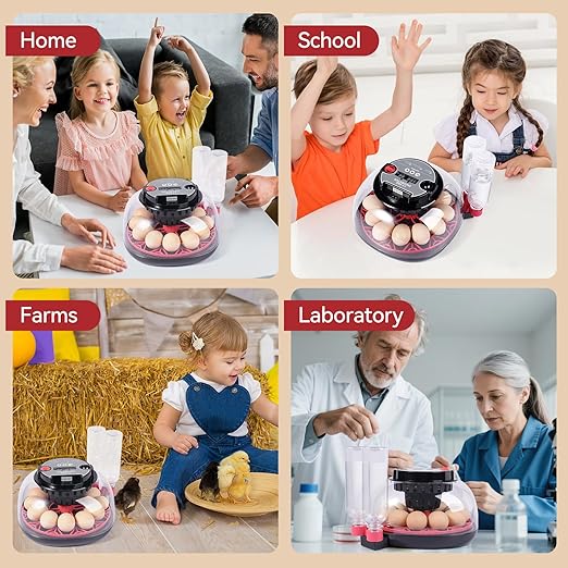 12 Egg Incubators for Hatching Eggs, Chicken Egg Incubator with Automatic Egg Turning and Temperature Humidity Control, 360° Clear View Lid or Home, Farm, Classroom, Hatching Chicken, Duck,Quail,Goose