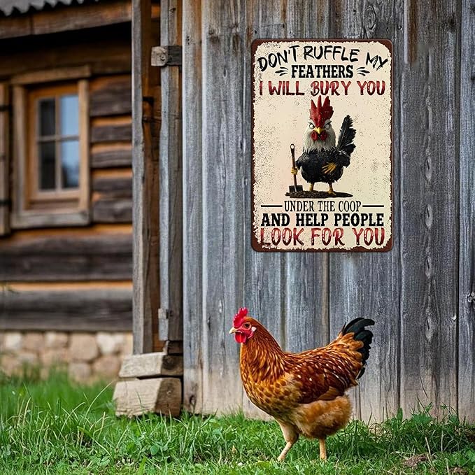 Funny Chicken Signs Don't Ruffle My Feathers Aluminium Sign Metal Chicken Signs Decor Home Ktichen Farm Are Wall 12x16 Inch Vintage Chicken Signs For Coop Metal Tin Signs Poster