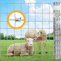 4ft x 164ft Galvanized Farm Fence, Fixed Knot Woven Wire Fence 16Ga, for Sheep Dog Panel Plant Garden Flower Bed and Field Protection