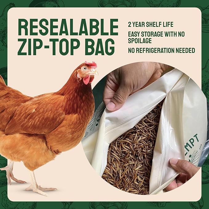 Hatortempt Dried Mealworms - Non-GMO & Organic - High-Protein Mealworms for Wild Bird Food, Ducks & Chickens (5lb)