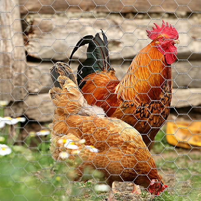 Chicken Wire 13.7 in x 393.7 in Poultry Wire Netting Hexagonal Galvanized Mesh Garden Fence Barrier for Pet Rabbit Chicken Fencing with 100 Pcs Cable Zip Ties