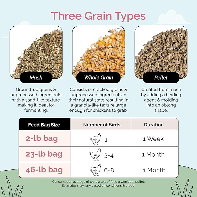 Mile Four Organic Grower Chicken Feed Kit | Feeds 10 Grower (8-20 Weeks) Chickens 12 Weeks | Feed (161 lb), Grit (20 lb), Oyster Shell (8 lb) | Mash