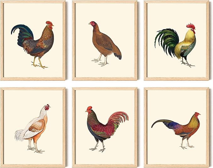 97 Decor Vintage Chicken Art Prints - Pictures Of Roosters Decorations for Home Bedroom, Farm Chicken Decor, Boho Farmhouse Chickens Poster Set, Hen Wall Art (8x10 UNFRAMED)