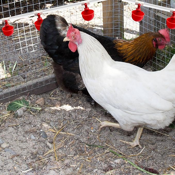 Complete Set Pipeline Automatic Chicken Watering System, DIY Chicken Waterer System with PVC Pipe, Stainless Steel Hose, Chicken Water Cup and Float Valve, Easy to Install(No Bucket Included)