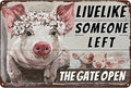Vintage Metal Farm Signs-Funny Pigs Decor Sign Live Like Someone Left The Gate Open Tin Sign for Home Farm Fence Kitchen Bedroom Wall Decor 8x12 inches