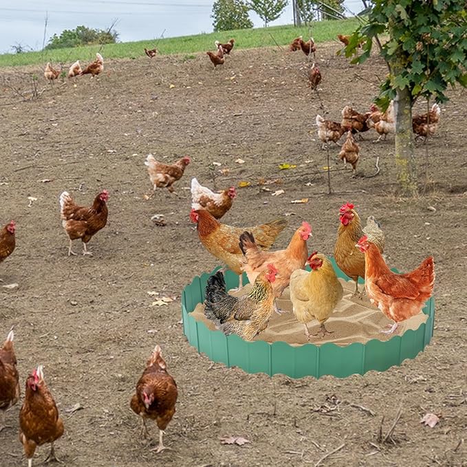 Large Chicken Dust Bath Tub, 40'' D * 5.5'' H Bottomless Design Round Adjustable Chicken Coop Cleaner Container Dust Bath Chicken Coop Lime Portable Farms Essential Chicken Coops Accessory