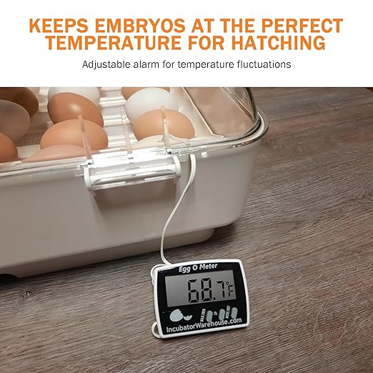 Incubator Warehouse Egg-O-Meter - Large Digital Display Egg Thermometer with Min/Max Memory - Reads Celsius and Fahrenheit +/-1