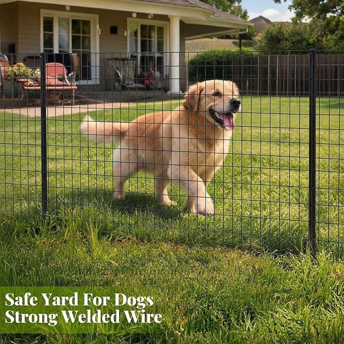 Gisafai 48in x 100ft Welded Wire Fence, 2 Inch x 4 Inch 16 GA, Galvanized Metal Garden Fence Roll Wire Mesh Netting for Goat Deer Cattle Animal Enclosures and Yard Vegetable Plant Protection,Black