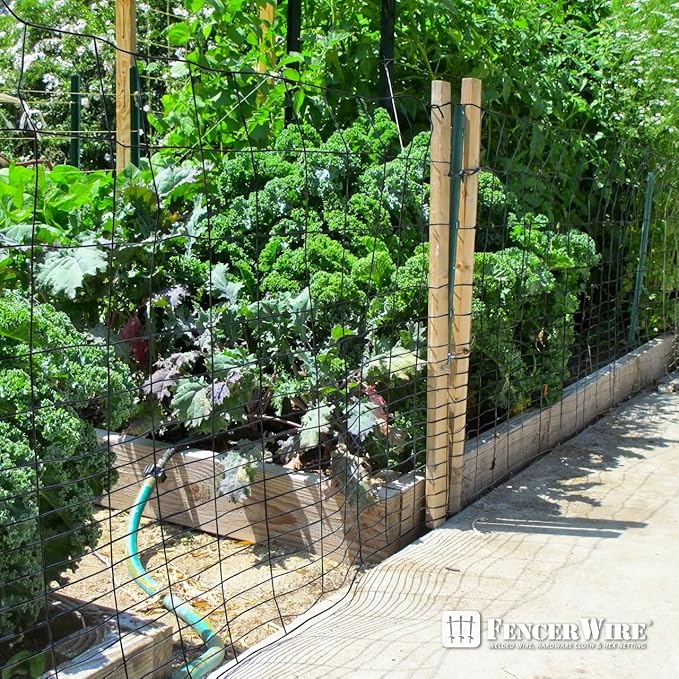 Fencer Wire 16 Gauge Black Vinyl Coated Rabbit Guard Fence, Poultry Fencing Wire Roll for Garden Yard Vegetable Plant, Protecting Against Rabbits, and Other Small Animals Damage (24 in. x 50 ft.)