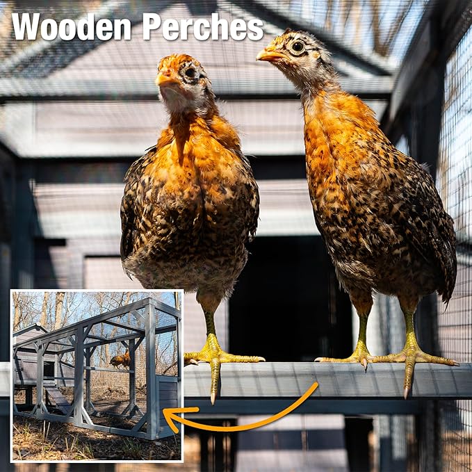 GUTINNEEN Chicken Coop with Run for 8-10 Chickens Extra Large Hen House Poultry Cage Outdoor with Nesting Box