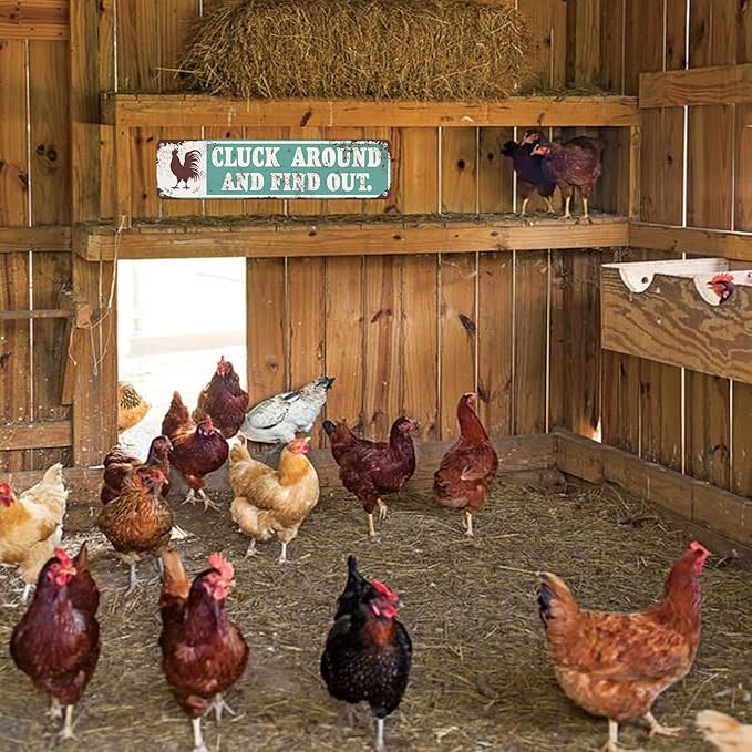 Chicken Decor Chicken Cluck Around and Find Out Metal Signs for Farm House Wall Art-Vintage Tin Signs for Chicken Coop Home Farmhouse Kitchen Garden Decor,16x4inch