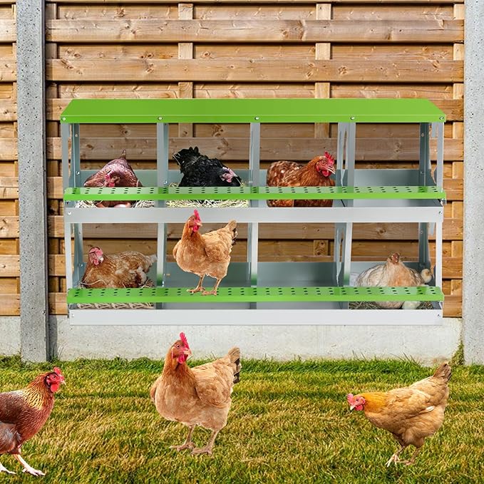 Chicken Nesting Box for Laying Eggs,Wall-Mountable Chicken Coop Nesting Boxes,8 Hole Roll Away Nesting Boxes,with Large Vented Holes,for Chickens,Ducks,Large Egg Laying Boxes (Green 8 Hole)