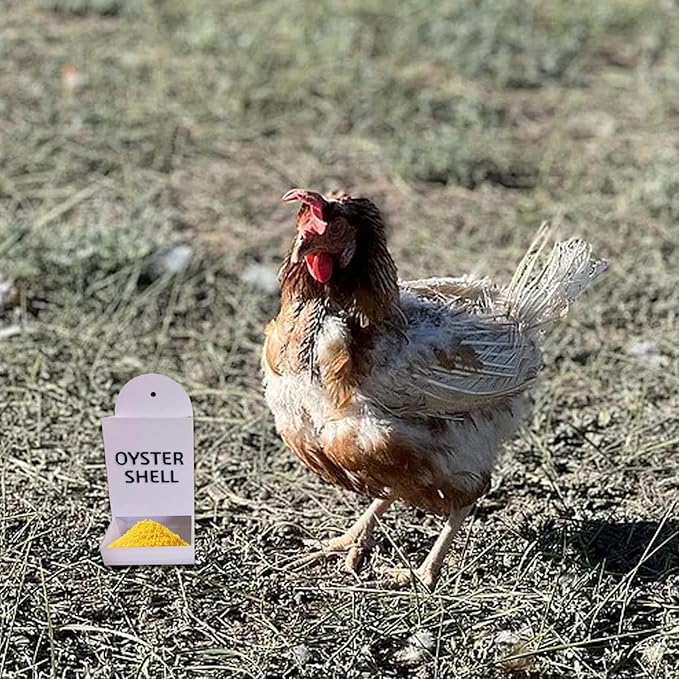 Gravel Feeder - Oyster Shell and Grit Feeder, Versatile Oyster Shell Feeders for Chickens,Hanging Chicken Feeders Trough,Precision Nutrition, Chickens Coop Accessories for Poultry (White)