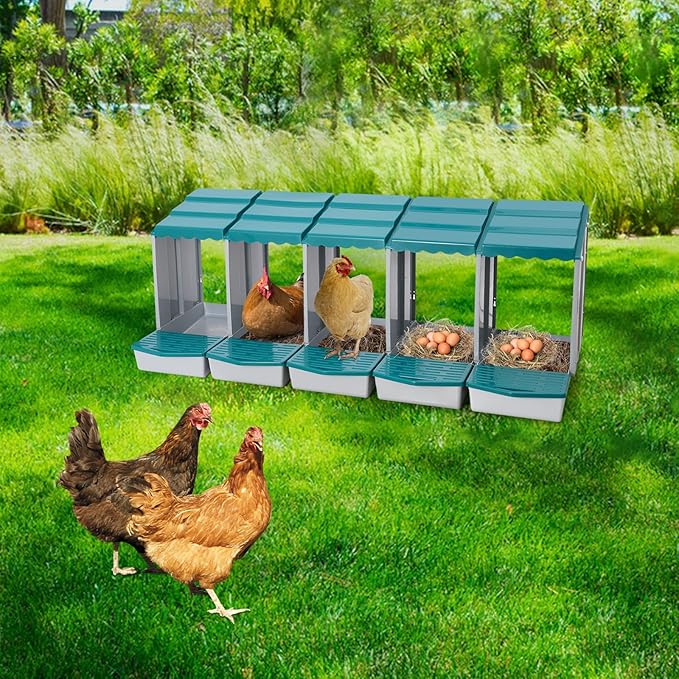 Chicken Nesting Box, 5 Compartments PP Nesting Box, Wall Mountable Nesting Boxes with Inclined Top, Drain Holes & Resting Platform for Chicken and Poultry to Collect Eggs