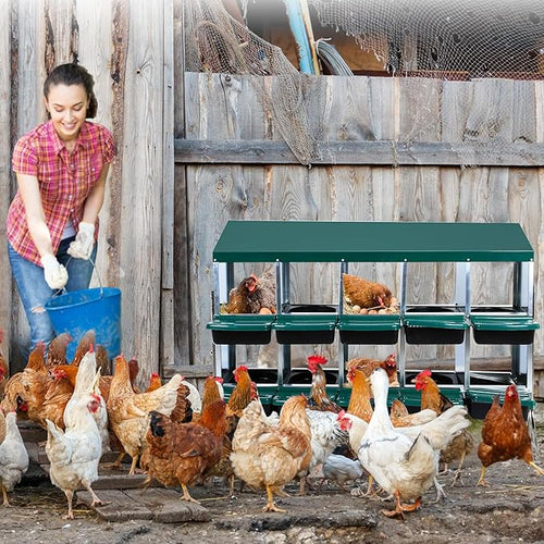 10 Hole Chicken Nesting Box, Galvanized Steel Roll Away Nest Boxes with Lid Cover and Legs, Nesting Box for Chickens Laying Egg, Green