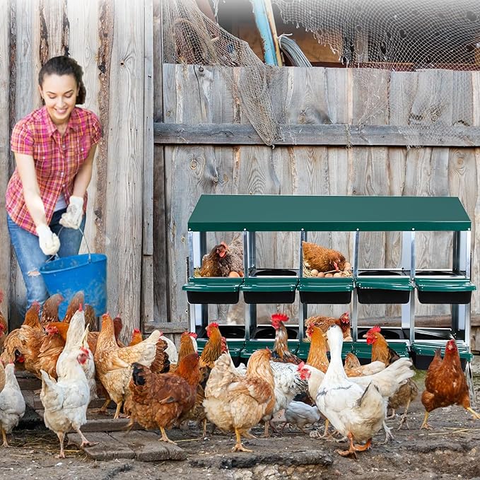 Nesting Boxes for Chickens - 10 Compartment Metal Roll Away Chicken Laying Boxes with Leg, Lid Cover, Protect Eggs, Easy Egg Collection, Chicken Nesting Box for Chicken Coop