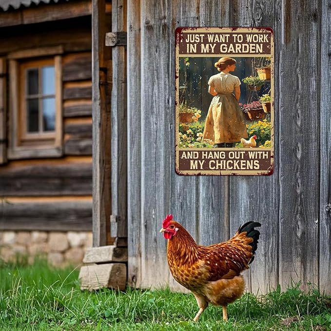 Funny Chicken Signs I Just Want To Work In My Garden And Hang Out With My Chickens Aluminium Sign Metal Chicken Signs Decor Ktichen Farm Are Wall 12x16 Inch Vintage Chicken Signs Metal Poster