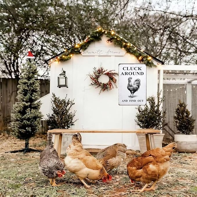 Funny Chicken Gifts Chicken Coop Sign Chicken Signs for Home Garden Farm Chicken Coop Farmhouse Kitchen Decor(8 X 12) Inch