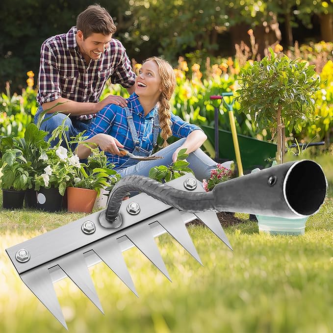 Weeding Rake for Gardening, Gardenia Iron Rakes for Backyard, Lawn, Small Farm, Rake with Sharp Metal Teeth，Heavy Duty Garden Tool for Weeding Without Handles (6 Tines)