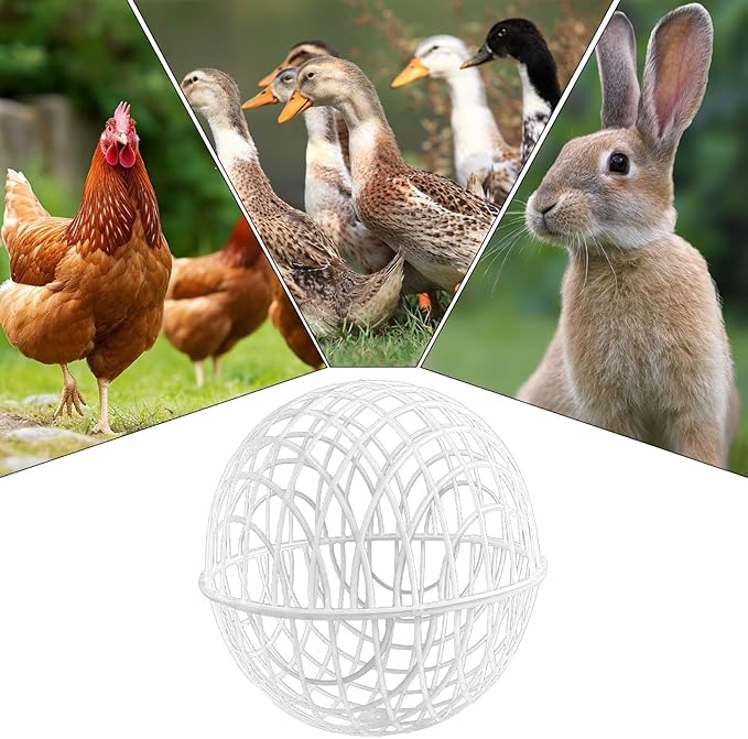 Chicken Balls Cage Set, ABS 3 Pieces Movable, Outside Poultry Habitat, Bird Feeding Supplies, Yard Equipment, Small Animal Pen, Pet Accessories, Garden