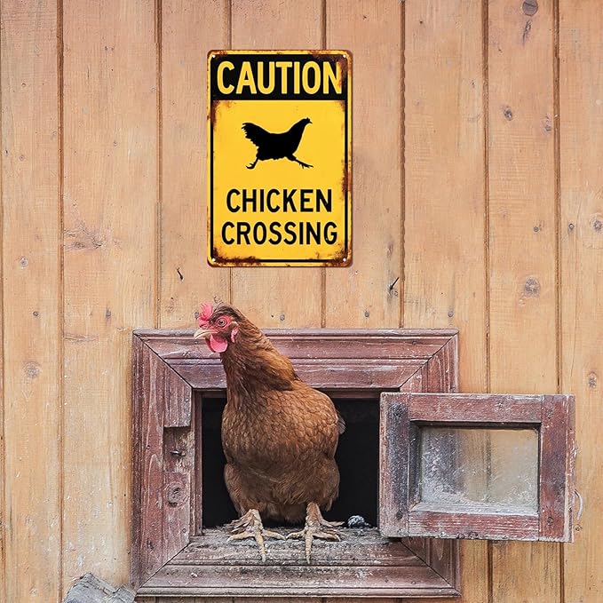 Caution Chicken Crossing Funny Warning Tin Sign Funny Farmhouse Security Warning Sign Vintage Metal Wall Decor Novelty Farmhouse Chicken Coop Decor 8x12 Inch