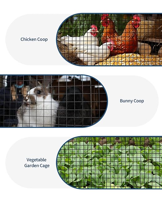 Chicken Wire Fencing 1/2 Inch 48in x 100ft Galvanized Welded Wire Mesh Roll, Chicken Wire Fence for Poultry Rabbit Snake Gopher Cage, Garden Plant Fencing & Animal Netting - Black