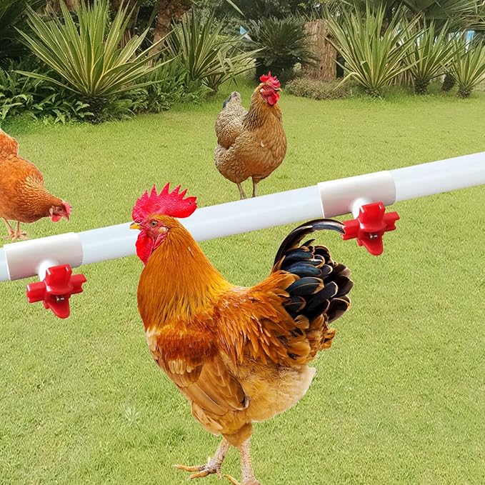 Chicken Waterer PVC Tee Fittings 1/8 FTP Threads for 1/2 Plastic Pipe Schedule 40 for Poultry Automatic Watering Nipples Auto-Fill Water Cups (10pcs, 1/8x1/2x1/2 PVC)