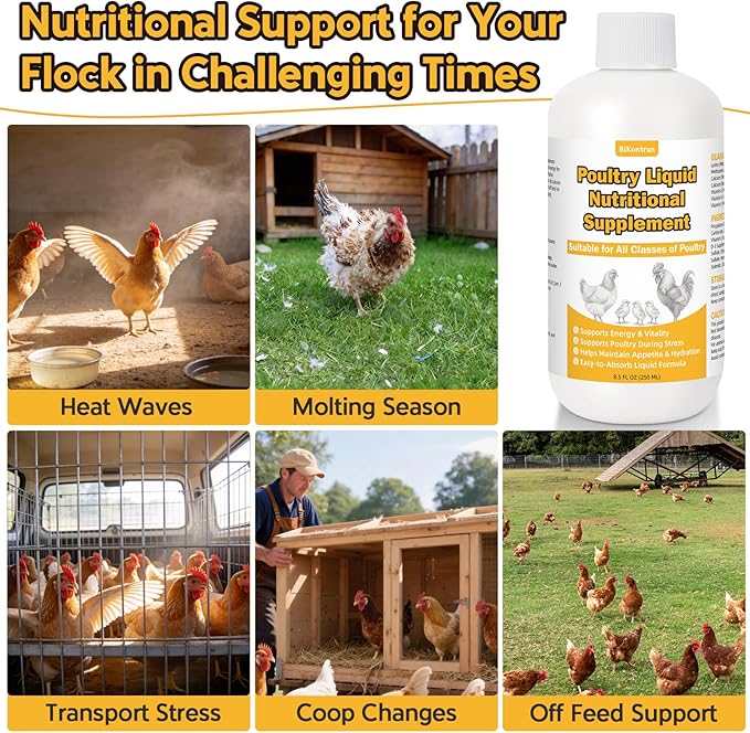 Liquid Poultry Supplement for Chickens, 8.5 fl oz – Energy & Vitamin Support for Weak or Stressed Birds, Ideal for Heat Stress, Appetite & Recovery, Mix in Water or Direct Oral Use, Dropper Included
