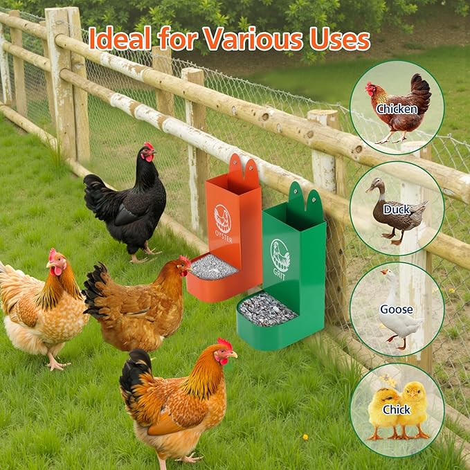 US Patent Pending 2 Pack Chicken Oyster Shell and Grit Feeder for Hens – Heavy-Duty Metal Chicken Feeder with Rounded Edges – Chicken Coop Accessories Improve Eggshell Quality and Hen Health