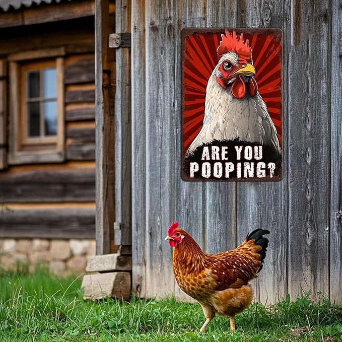 Funny Chicken Signs Chicken Humor Are You Pooping Aluminium Sign Metal Chicken Signs Decor Home Ktichen Farm Are Wall 12x16 Inch Vintage Chicken Signs For Coop Metal Tin Signs Poster