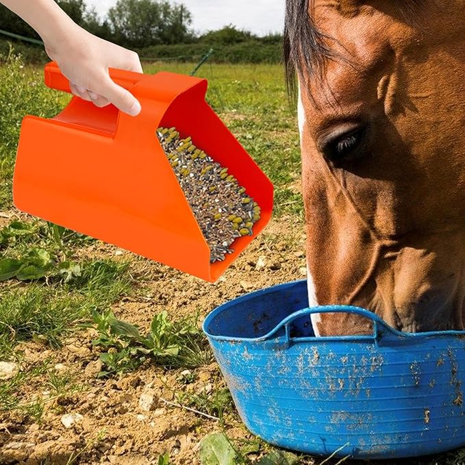 Feed Scoop – Livestock Grain Transfer Shovel, Stackable Large Measuring Scoop, Ergonomic Handle Design, Heavy-Duty Farm Feeding Tool, Premium Animal Feeding Supplies for Horses, Goats, Sheep